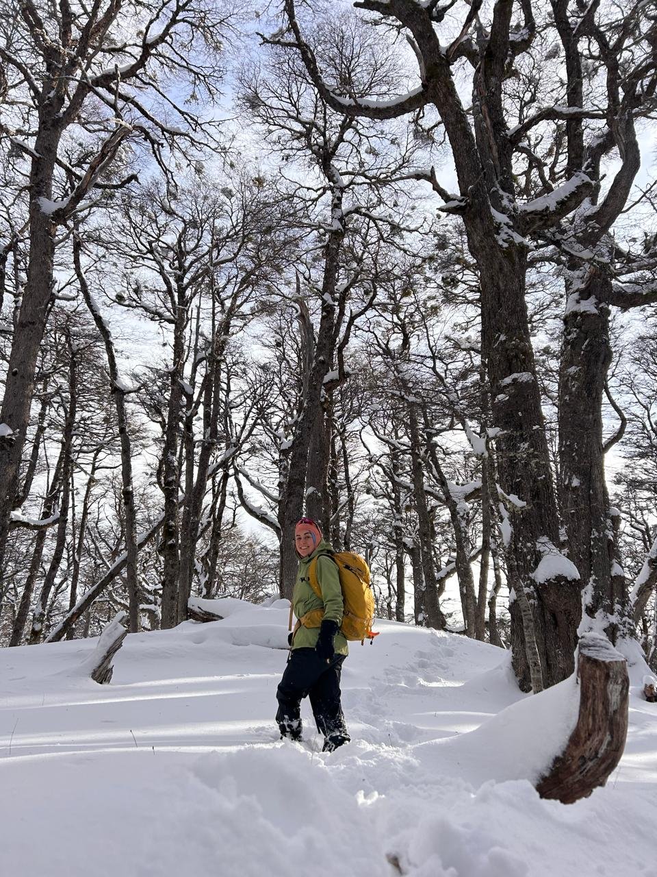 Salud Mental en la Naturaleza